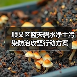顺义区蓝天碧水净土污染防治攻坚行动方案（图1）