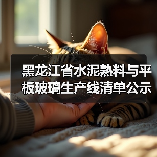 黑龙江省水泥熟料与平板玻璃生产线清单公示（图3）