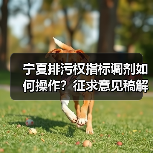 宁夏排污权指标调剂如何操作？征求意见稿解读（图4）