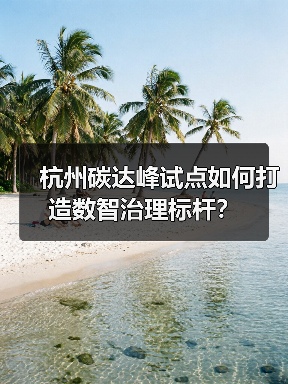 杭州碳达峰试点如何打造数智治理标杆？（图4）