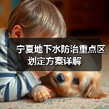 宁夏地下水防治重点区划定方案详解（图4）