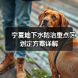 宁夏地下水防治重点区划定方案详解（图1）
