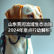 山东黄河流域生态治理2024年重点行动解析：污染防治与生态修复并举（图2）
