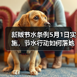 新版节水条例5月1日实施,节水行动如何落地(图4) 新版节水条例5月1日实施,节水行动如何落地(图4)