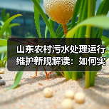 山东农村污水处理运行维护新规解读:如何实现数字化监管?(图4) 山东农村污水处理运行维护新规解读:如何实现数字化监管?(图4)
