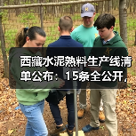 西藏水泥熟料生产线清单公布：15条全公开，如何监督？（图2）