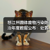 怒江州固体废物污染防治年度数据公布:处置利用率高达99.99%(图4) 怒江州固体废物污染防治年度数据公布:处置利用率高达99.99%(图4)