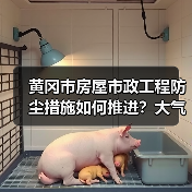 黄冈市房屋市政工程防尘措施如何推进？大气污染防治方案详解（图1）