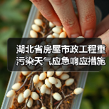 湖北省房屋市政工程重污染天气应急响应措施清单来了！如何落实？（图2）