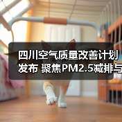 四川空气质量改善计划发布 聚焦PM2.5减排与绿色转型(图4) 四川空气质量改善计划发布 聚焦PM2.5减排与绿色转型(图4)