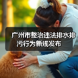 广州市整治违法排水排污行为新规发布（图4）
