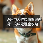 泸州市大件垃圾管理新规：投放处理全攻略（图1）