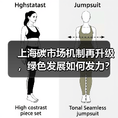 上海碳市场机制再升级,绿色发展如何发力?(图3) 上海碳市场机制再升级,绿色发展如何发力?(图3)