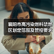 襄阳市高污染燃料禁燃区划定范围及管控要求(图4) 襄阳市高污染燃料禁燃区划定范围及管控要求(图4)