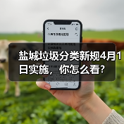 盐城垃圾分类新规4月1日实施,你怎么看?(图2) 盐城垃圾分类新规4月1日实施,你怎么看?(图2)