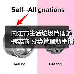 内江市生活垃圾管理条例实施 分类管理新举措如何落实？（图1）
