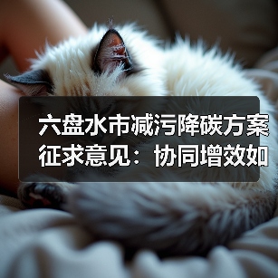 六盘水市减污降碳方案征求意见：协同增效如何实现？（图2）