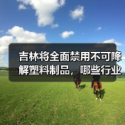 吉林将全面禁用不可降解塑料制品,哪些行业将受影响?(图3) 吉林将全面禁用不可降解塑料制品,哪些行业将受影响?(图3)
