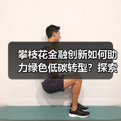 攀枝花金融创新如何助力绿色低碳转型？探索可复制路径（图3）