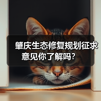 肇庆生态修复规划征求意见你了解吗？（图2）