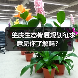 肇庆生态修复规划征求意见你了解吗？（图3）