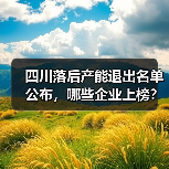 四川落后产能退出名单公布，哪些企业上榜？（图3）