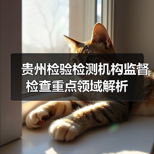 贵州检验检测机构监督检查重点领域解析（图3）