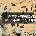 山西生态环境监管新举措：双随机一公开如何落实？（图2）