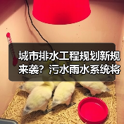 城市排水工程规划新规来袭？污水雨水系统将如何调整？（图3）