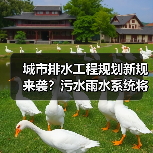城市排水工程规划新规来袭？污水雨水系统将如何调整？（图4）
