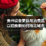 贵州设备更新与消费品以旧换新如何推动城市升级?(图1) 贵州设备更新与消费品以旧换新如何推动城市升级?(图1)