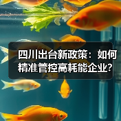 四川出台新政策：如何精准管控高耗能企业？（图4）