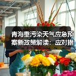 青海重污染天气应急预案新政策解读:应对措施与预警机制升级(图1) 青海重污染天气应急预案新政策解读:应对措施与预警机制升级(图1)