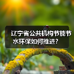 辽宁省公共机构节能节水环保如何推进?(图1) 辽宁省公共机构节能节水环保如何推进?(图1)