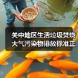 关中地区生活垃圾焚烧大气污染物排放标准正式发布！（图4）