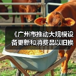 《广州市推动大规模设备更新和消费品以旧换新实施方案》印发(图3) 《广州市推动大规模设备更新和消费品以旧换新实施方案》印发(图3)