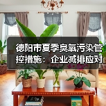 德阳市夏季臭氧污染管控措施：企业减排应对指南（图3）