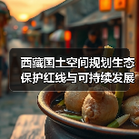 西藏国土空间规划生态保护红线与可持续发展措施解析（图4）