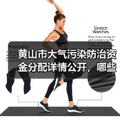 黄山市大气污染防治资金分配详情公开,哪些项目将获资助?(图1) 黄山市大气污染防治资金分配详情公开,哪些项目将获资助?(图1)