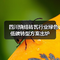 四川烧结砖瓦行业绿色低碳转型方案出炉(图1) 四川烧结砖瓦行业绿色低碳转型方案出炉(图1)
