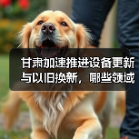 甘肃加速推进设备更新与以旧换新,哪些领域将率先受益?(图2) 甘肃加速推进设备更新与以旧换新,哪些领域将率先受益?(图2)