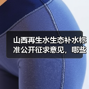 山西再生水生态补水标准公开征求意见,哪些重点需关注?(图4) 山西再生水生态补水标准公开征求意见,哪些重点需关注?(图4)