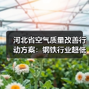 河北省空气质量改善行动方案:钢铁行业超低排放改造如何推进?(图3) 河北省空气质量改善行动方案:钢铁行业超低排放改造如何推进?(图3)