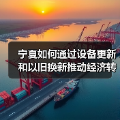 宁夏如何通过设备更新和以旧换新推动经济转型?(图2) 宁夏如何通过设备更新和以旧换新推动经济转型?(图2)