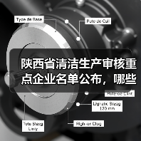 陕西省清洁生产审核重点企业名单公布，哪些企业需重点关注？（图2）