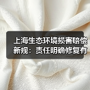 上海生态环境损害赔偿新规：责任明确修复有效（图3）