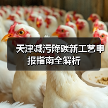 天津减污降碳新工艺申报指南全解析(图4) 天津减污降碳新工艺申报指南全解析(图4)