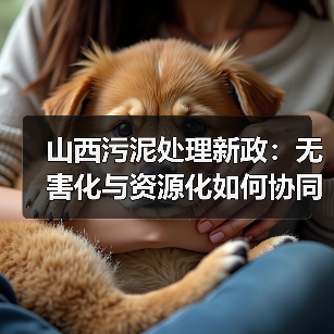 山西污泥处理新政:无害化与资源化如何协同减污降碳?(图3) 山西污泥处理新政:无害化与资源化如何协同减污降碳?(图3)