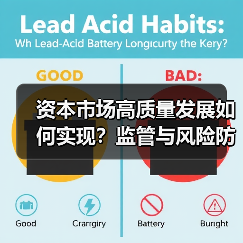 资本市场高质量发展如何实现？监管与风险防范的关键路径（图2）