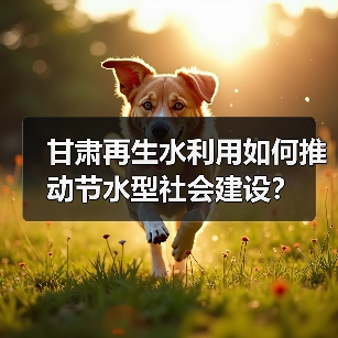 甘肃再生水利用如何推动节水型社会建设?(图3) 甘肃再生水利用如何推动节水型社会建设?(图3)
